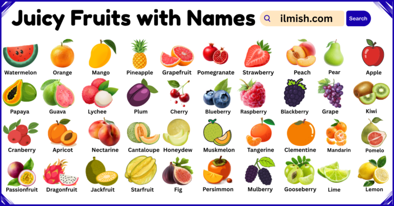List of Juicy Fruits with Names and Types in English with Pictures