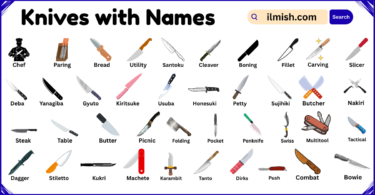 List of Knives with Names and Types in English with Pictures