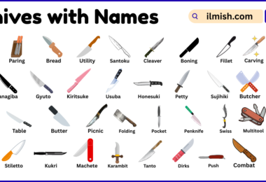 List of Knives with Names and Types in English with Pictures