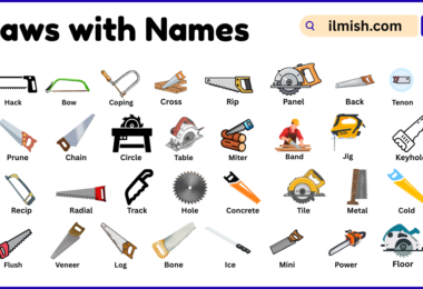 List of Saws with Names and Types in English with Pictures
