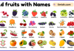 List of Wild Fruits with Names and Types in English with Pictures