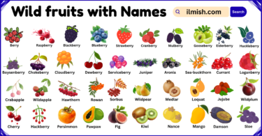 List of Wild Fruits with Names and Types in English with Pictures