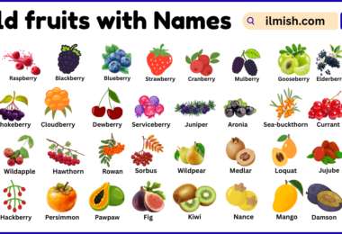 List of Wild Fruits with Names and Types in English with Pictures