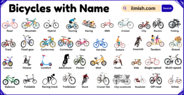 List of bicycles with Names and Types in English with Pictures