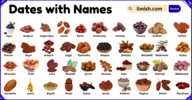 List of dates with Names and Types in English with Pictures