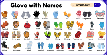 List of gloves with Names and Types in English with Pictures
