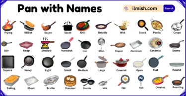 List of pans with Names and Types in English with Pictures