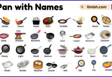 List of pans with Names and Types in English with Pictures