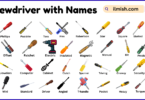 List of screwdrivers with Names and Types in English with Pictures