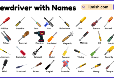 List of screwdrivers with Names and Types in English with Pictures