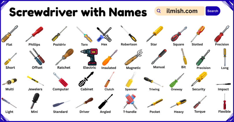 List of screwdrivers with Names and Types in English with Pictures