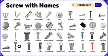List of screws with Names and Types in English with Pictures