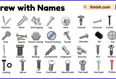 List of screws with Names and Types in English with Pictures
