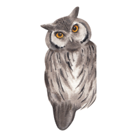 Maned | Owls with Names and Types