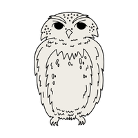 Mindoro | Owls with Names and Types