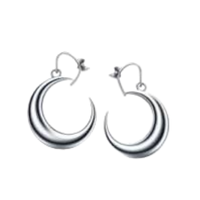 Moon | Earrings with Names and Types