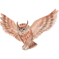 Mountain Scops | Owls with Names and Types