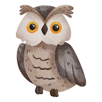 Northern Pygmy | Owls with Names and Types