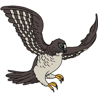 Peruvian | Owls with Names and Types