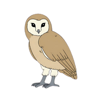 Pygmy | Owls with Names and Types