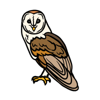 Ryukyu | Owls with Names and Types