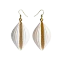 Shell | Earrings with Names and Types