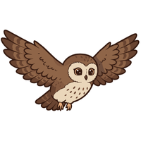 Spotted | Owls with Names and Types