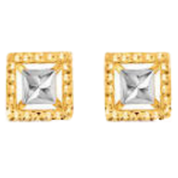 Square | Earrings with Names and Types