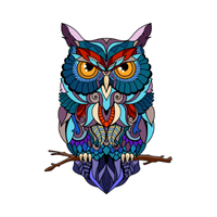 Sulawesi | Owls with Names and Types