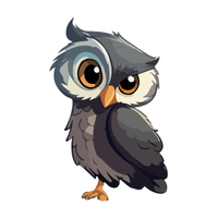 Sumba | Owls with Names and Types