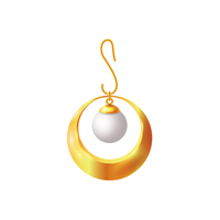 Widehoop | Earrings with Names and Types