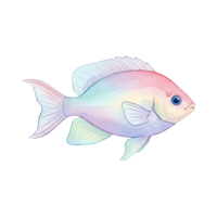 Breaded | Seafood with Names and Types