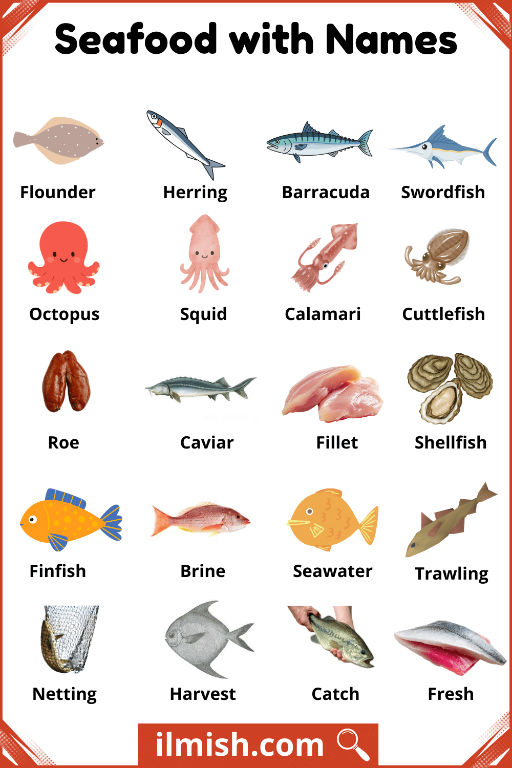Common Types of Seafood with Pictures