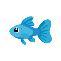 Fish | Seafood with Names and Types