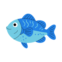 Frozen | Seafood with Names and Types