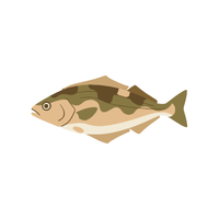 Halibut | Seafood with Names and Types