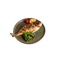 Juicy | Seafood with Names and Types