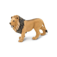 Katanga Lion | Lions with Names and Types