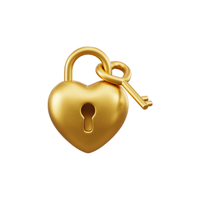 Keyed lock | Locks with Names and Types in English