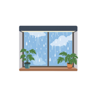 Leaded | Windows with Names and Types