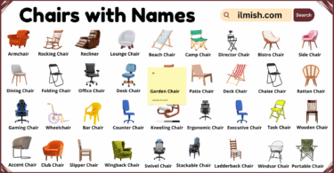 List of Chairs with Names and Types in English with Pictures