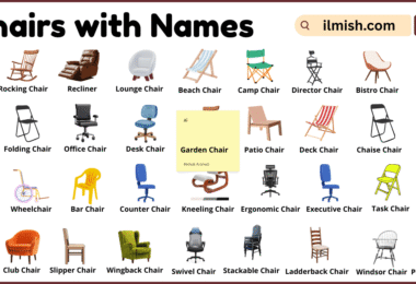 List of Chairs with Names and Types in English with Pictures