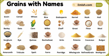 List of Grains with Names and Types in English with Pictures