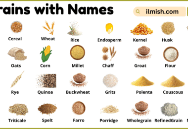 List of Grains with Names and Types in English with Pictures