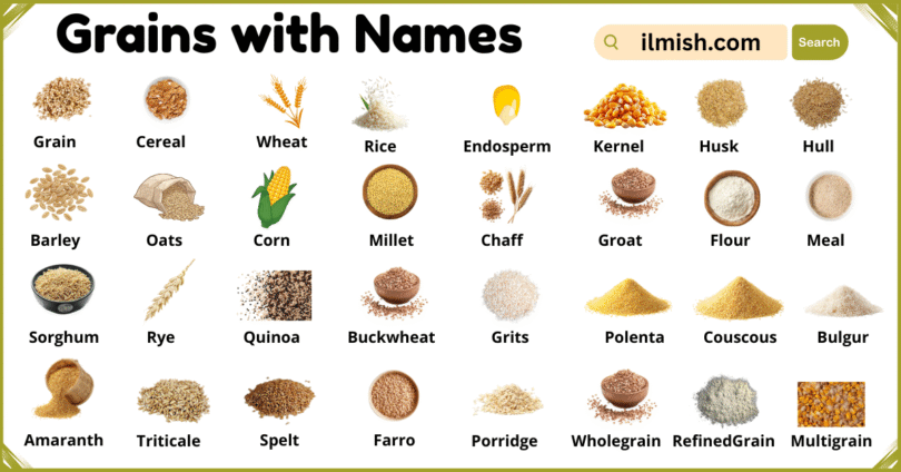 List of Grains with Names and Types in English with Pictures