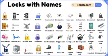 List of Locks with Names and Types in English with Pictures