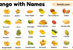 List of Mango with Names and Types in English with Pictures