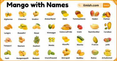 List of Mango with Names and Types in English with Pictures