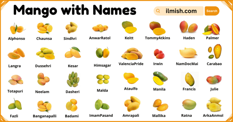 List of Mango with Names and Types in English with Pictures