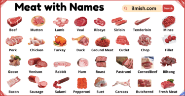 List of Meat with Names and Types in English with Pictures